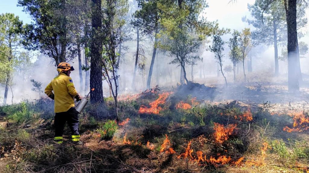 Bomberos del INFOCAM trabajando en un incendio.