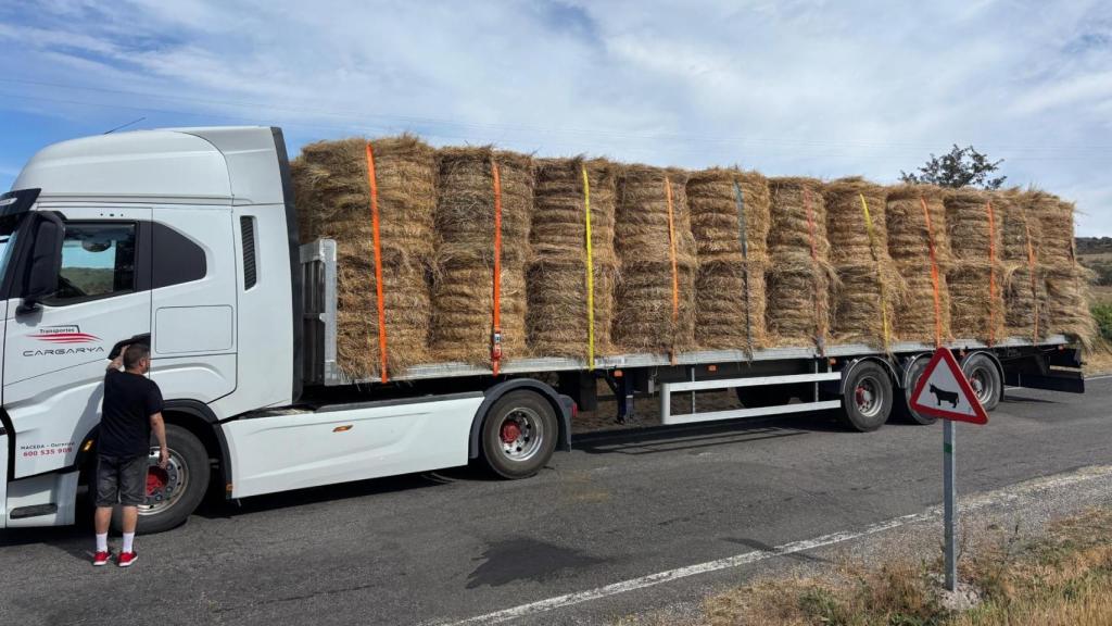 Un camión cargado con comida para los animales en Chandrexa de Queixa.