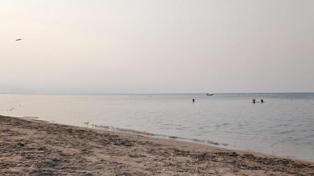 La playa de Les Marines de Dénia este sábado.