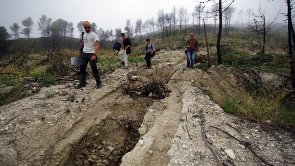 Erosión acelerada del suelo tras una secuencia de incendio en la sierra de Mariola en Alicante.