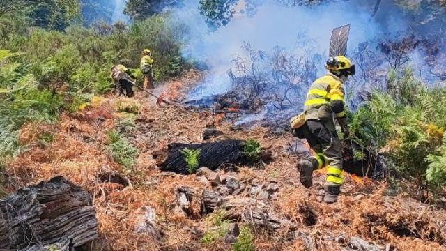 Efectivos aragoneses, en los incendios de Castilla y León.