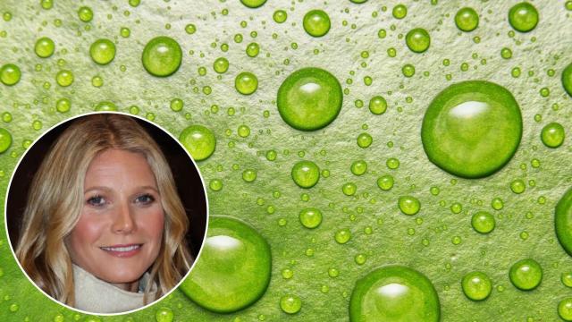 La clorofila es imprescindible para la vida vegetal, pero su efecto en los seres humanos no está claro. (Jason Reid/Pixabay)