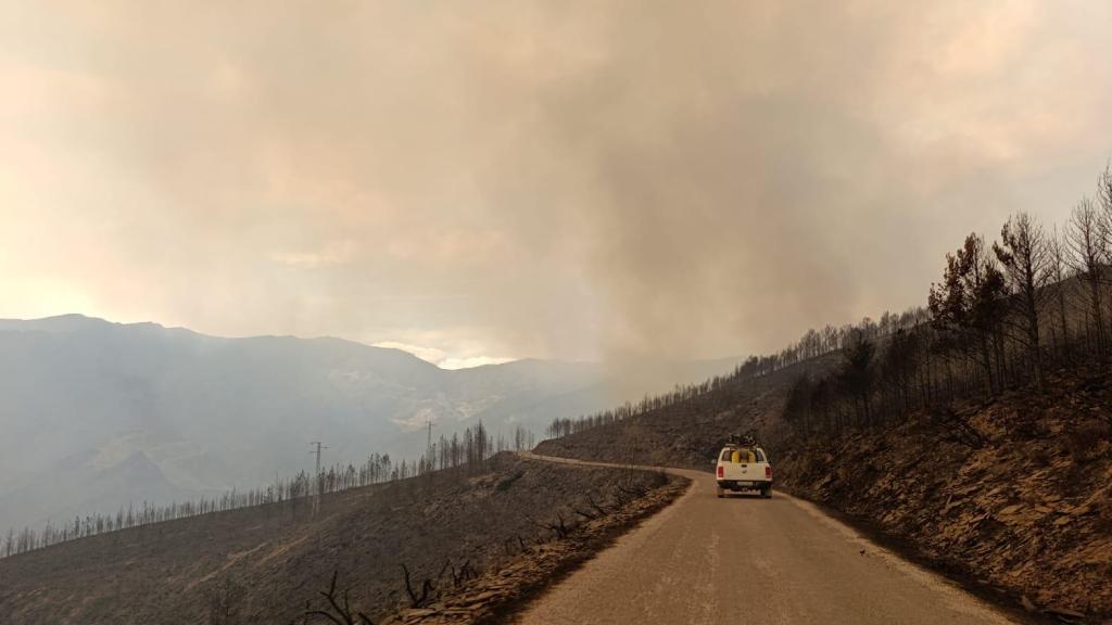 El alcalde de Oencia, Arsenio Pombo, conduce su camioneta entre las carreteras quemadas de su municipio.