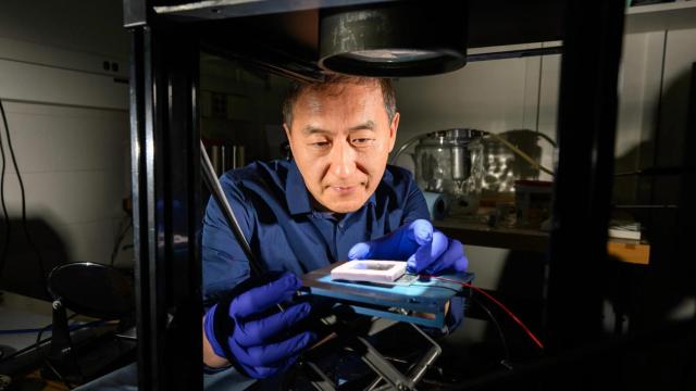 El ingeniero Chunlei Guo prueba el nuevo generador termoeléctrico solar (STEG)