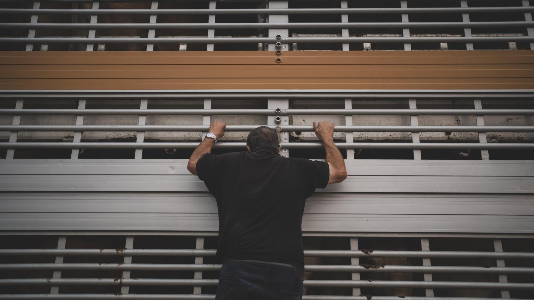 Sanabria entre el humo: la huida del ganado ante el avance del fuego