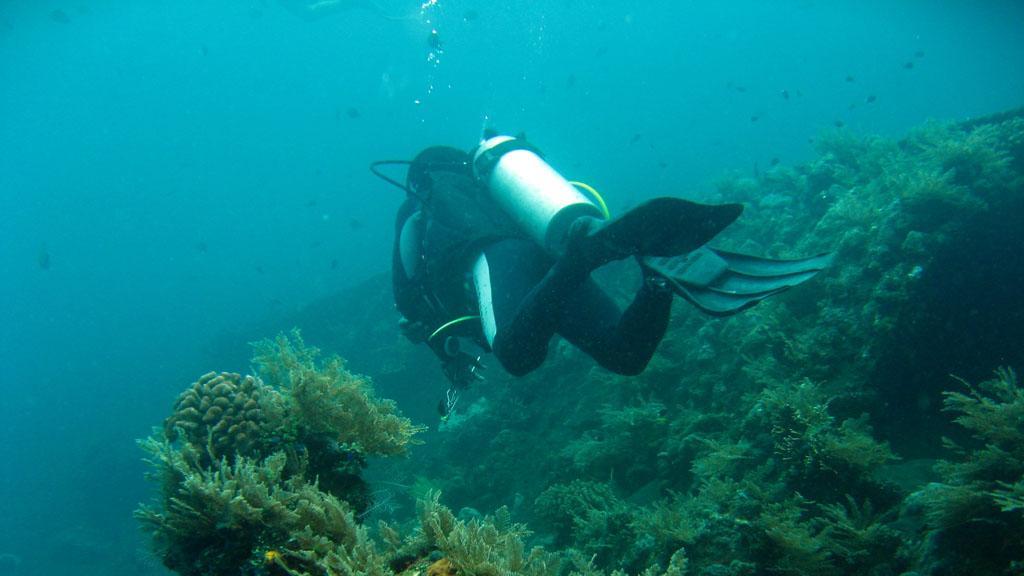 El turista barcelonés se encontraba de vacaciones en Indonesia.