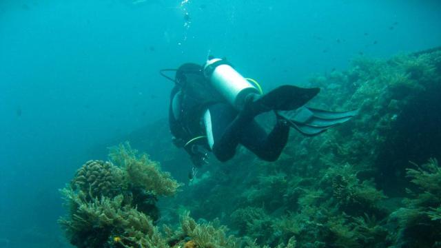 El turista barcelonés se encontraba de vacaciones en Indonesia.