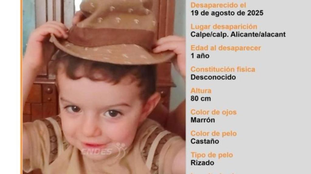 Imagen del menor desaparecido.