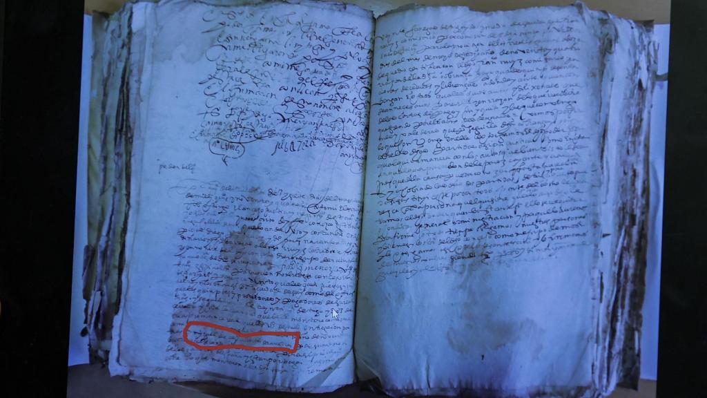 Imagen vista en un ordenador de uno de los dos documentos de 1593 y 1594 que ubican con precisión a Miguel de Cervantes en las localidades onubenses de Paterna del Campo y Bollullos Par del Condado. Foto: José Manuel Vidal / EFE