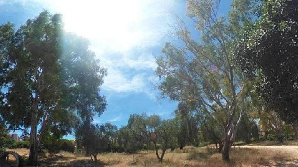 Imagen de los terrenos sobre los que se va a actuar en esta segunda fase.