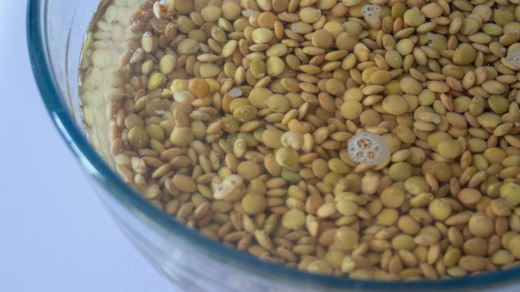 Imagen de unas lentejas a remojo.