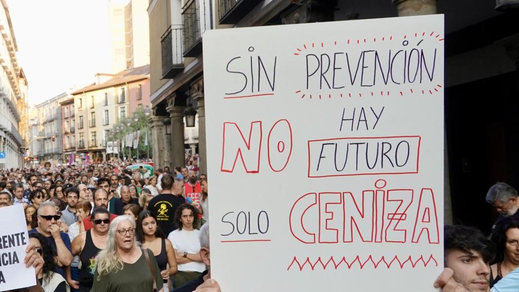 Manifestación bajo el lema 'Nuestra tierra arde. Contra el fuego de la inacción: ¡Prevención y medios ya!'