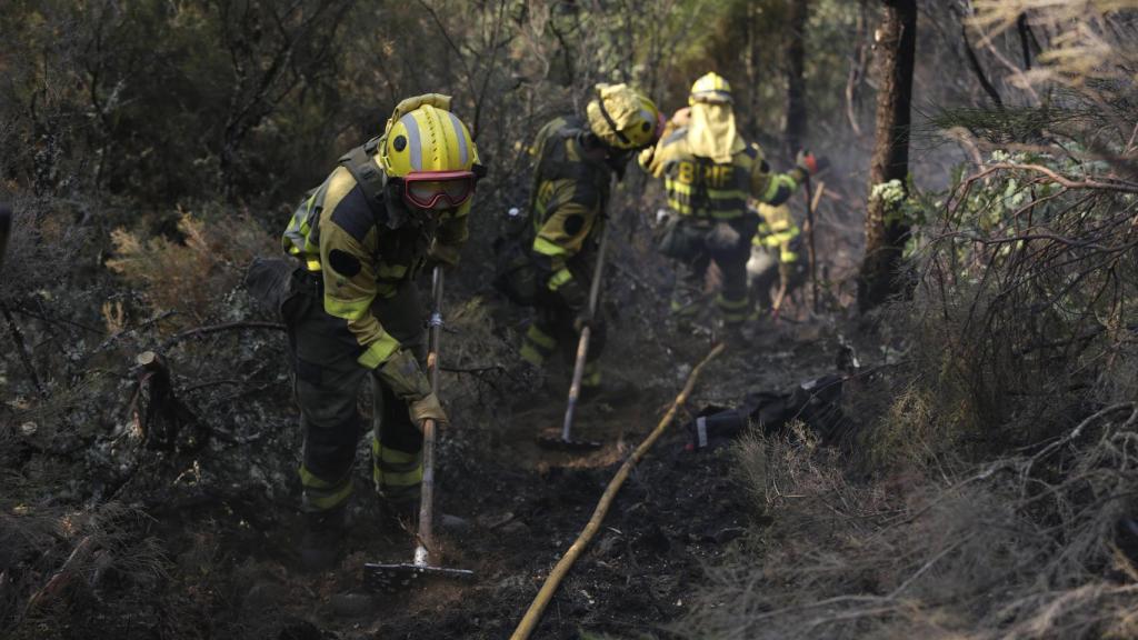 Varios bomberos forestales tratan de extinguir el fuego, a 19 de agosto de 2025, en Palacios de Compludo, León, Castilla y León.