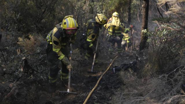Varios bomberos forestales tratan de extinguir el fuego, a 19 de agosto de 2025, en Palacios de Compludo, León, Castilla y León.