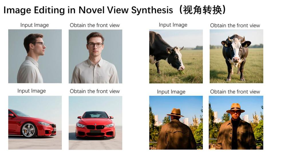 Rotación de un animal, persona u objeto con Qwen-Image-Edit