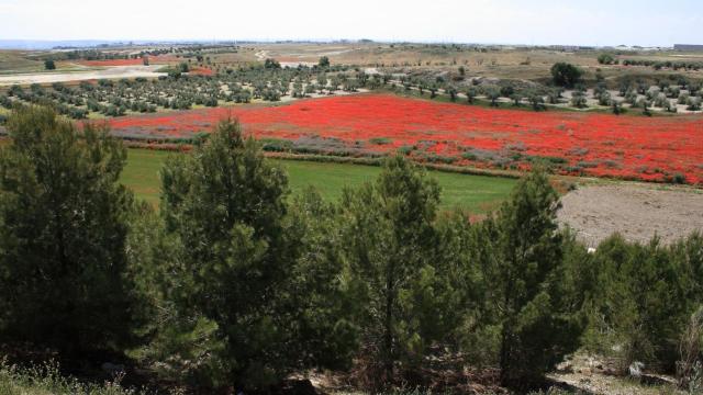 Panorámica de los terrenos de la Ermita de Santiago donde se pretende construir el macroproyecto Logistik City Green Life.