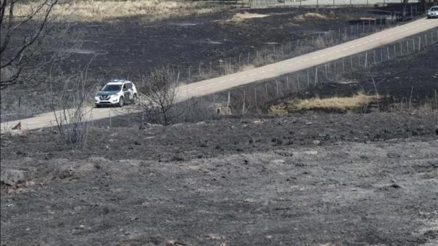 La Guardia Civil circula por una zona arrasada por el incendio forestal de Abejera.