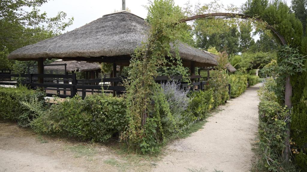 Imagen del rodaje de la serie 'Pura sangre' en la localidad madrileña de Aranjuez.