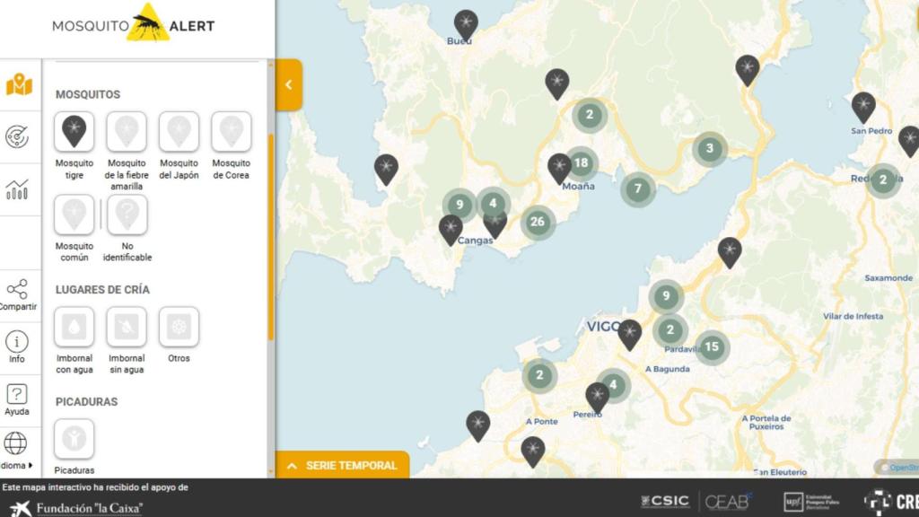 Casos de mosquito tigre notificados en Galicia
