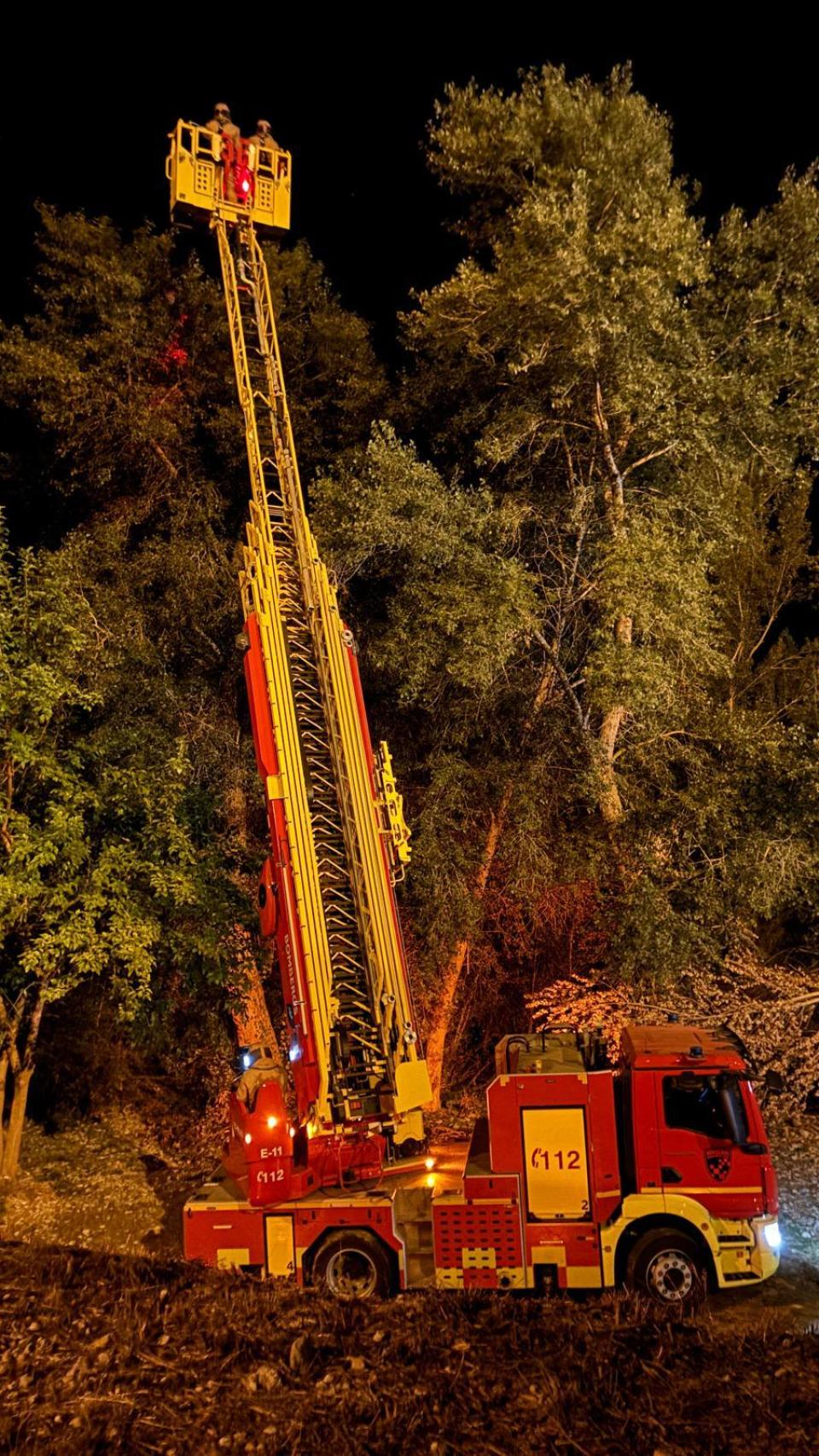 Retirada del nido de avispa asiática en Alcañiz.