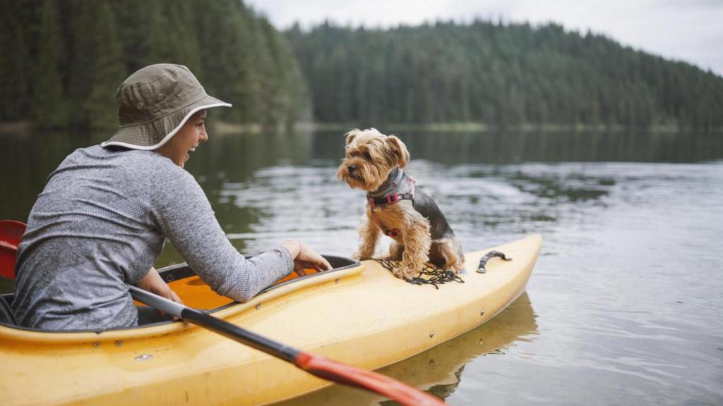 Un perro en kayak con una chica.