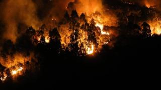 Llamas del fuego de Quiroga, a 20 de agosto de 2025, en Bendollo, Quiroga