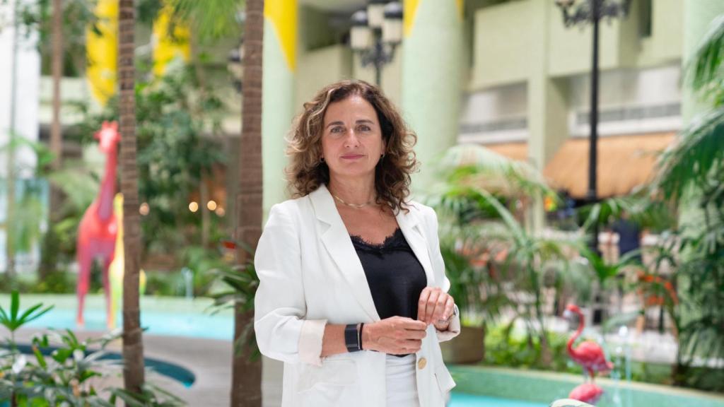 Mari Francis Peñarroya, vicepresidenta primera de Aehcos.