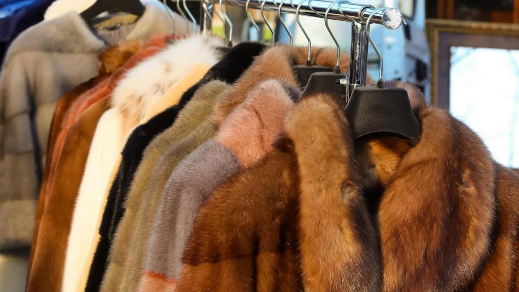 Algunas prendas de piel