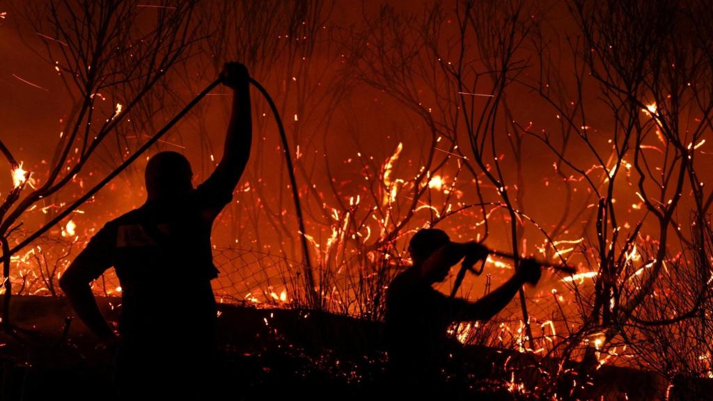 Incendios forestales. Reuters.