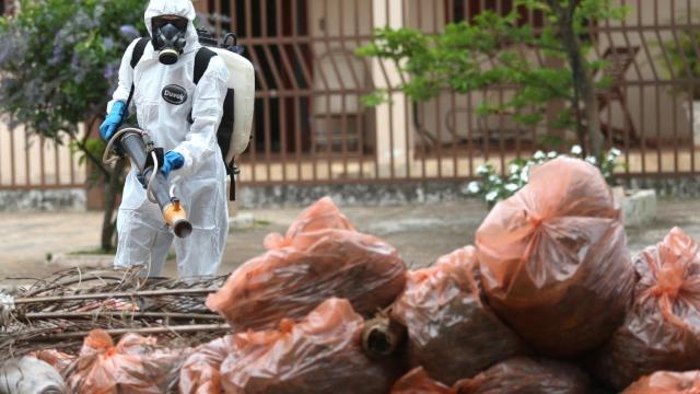 Un operario pulveriza las calles de Brasilia con productos anti-mosquitos en una foto de archivo.