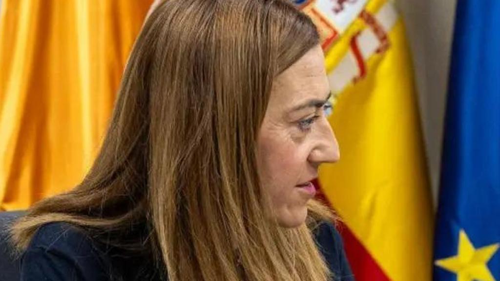 La directora general de Protección Civil y Emergencias, Virginia Barcones, junto al Ministro de Interior, Grande-Marlaska