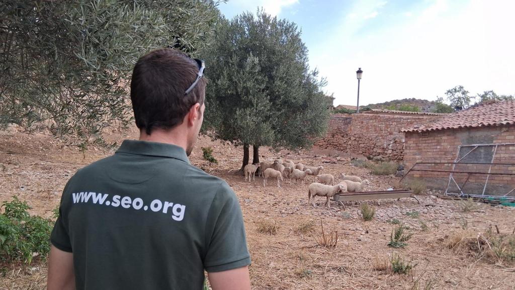 Uno de los pastores que participa en el proyecto en Alquézar