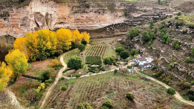 Finca en venta en Albacete. Foto: Rústicas Singulares.