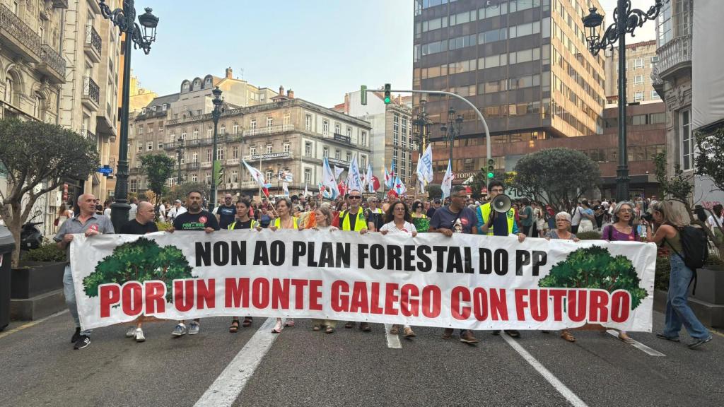 Galicia sale a la calle para clamar contra el fuego: Aquí sabemos que los incendios se apagan en invierno