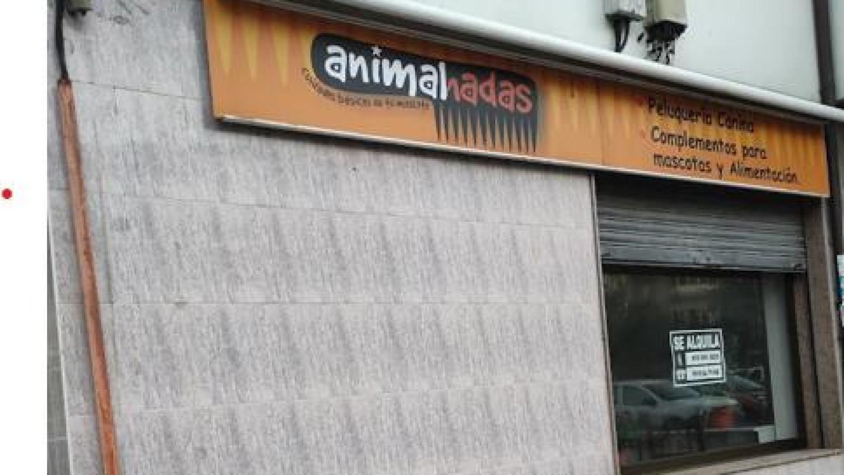 Peluquería canina de Noelia González.