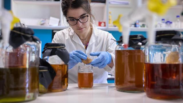 Iranzu Zalba Larruy, estudiante de doctorado, trabaja en el laboratorio del área de tecnología de alimentos, donde se dedica al desarrollo de nuevos alimentos utilizando técnicas fermentativas.