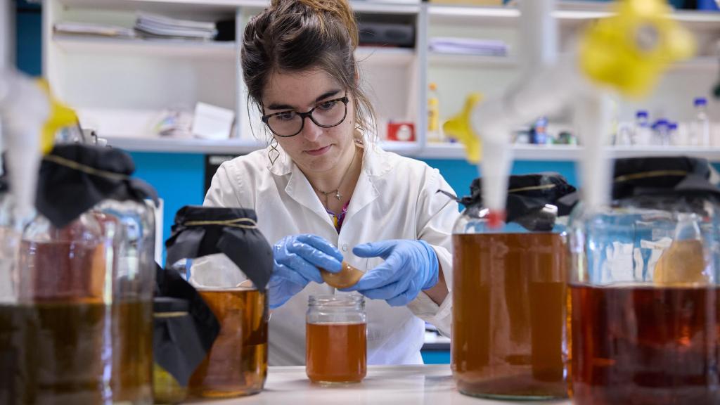 Iranzu Zalba Larruy, estudiante de doctorado, trabaja en el laboratorio del área de tecnología de alimentos, donde se dedica al desarrollo de nuevos alimentos utilizando técnicas fermentativas.