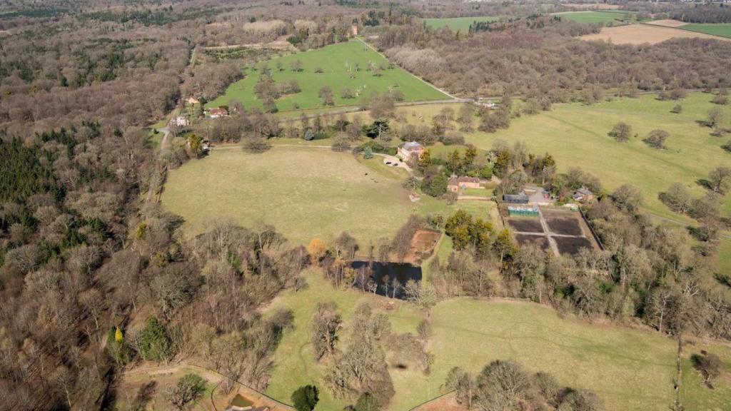 La parcela de la vivienda.