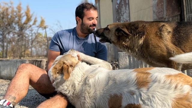 Andrés Santiago, veterinario, con sus dos perros rescatado del incendio de Toledo.