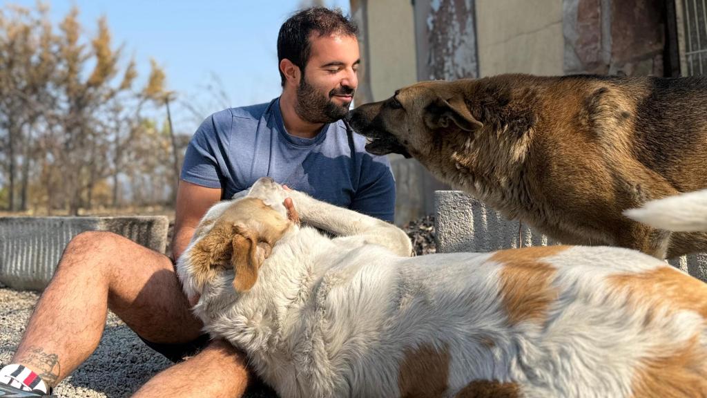 Andrés Santiago, veterinario, con sus dos perros rescatado del incendio de Toledo.