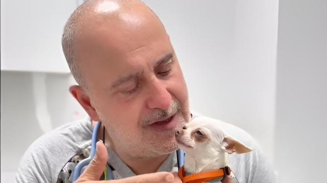 Carlos Rodríguez (61), veterinario.