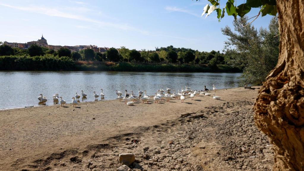 Imagen de archivo de la zona.