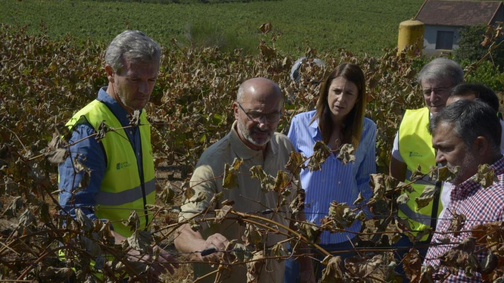 Rueda durante la visita a los viñedos de la Bodega Tapias Mariñán afectados por los incendios