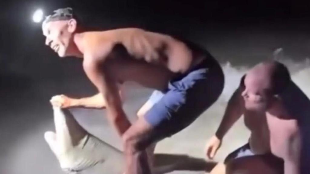 Un pescador de Florida es hospitalizado de urgencia tras ser mordido por un tiburón