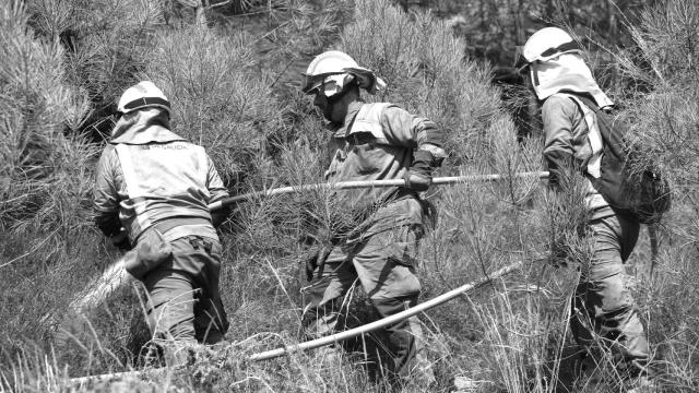 Bomberos forestales trabajan en la extinción del incendio de la parroquia de A Cova (Lugo).