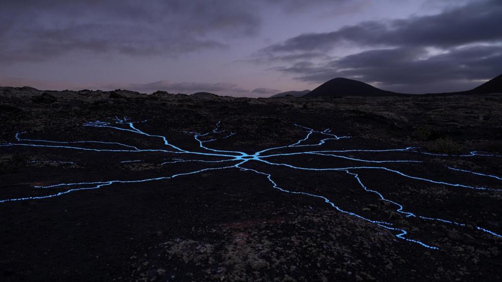 'Dibujos de la corteza latente', de Isabel Merchante.