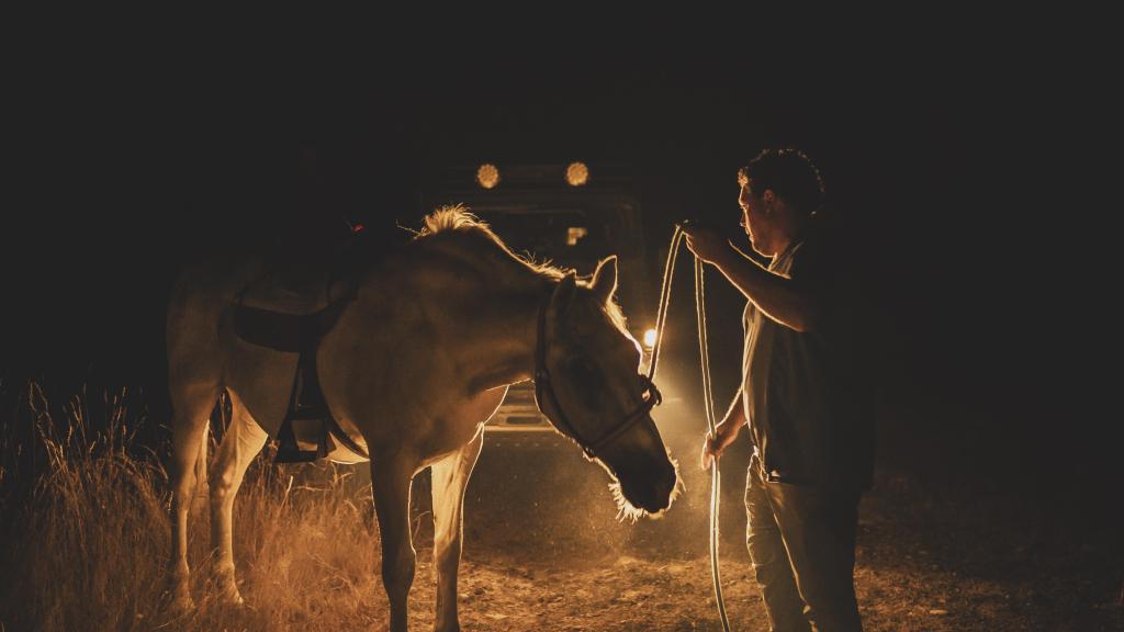 Ganaderos de la comarca de Sanabria tratan de proteger a sus animales del fuego.