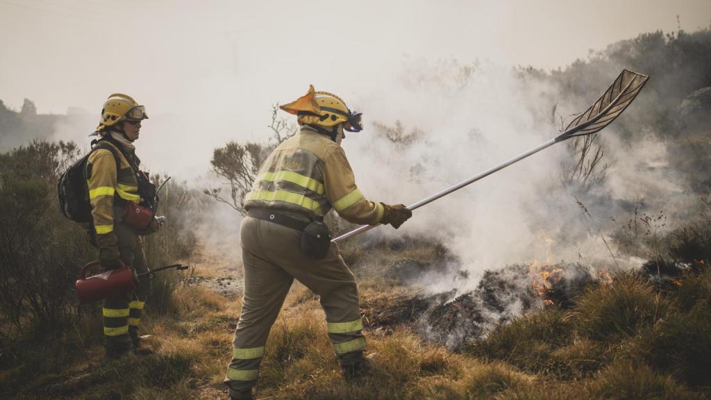 Brigadas forestales trabajan en la extinción de los incendios en la comarca de Sanabria.