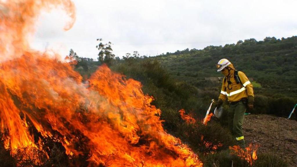 Quema prescrita en el área de El Berrocal, cerca de Almadén de la Plata (Sevilla).