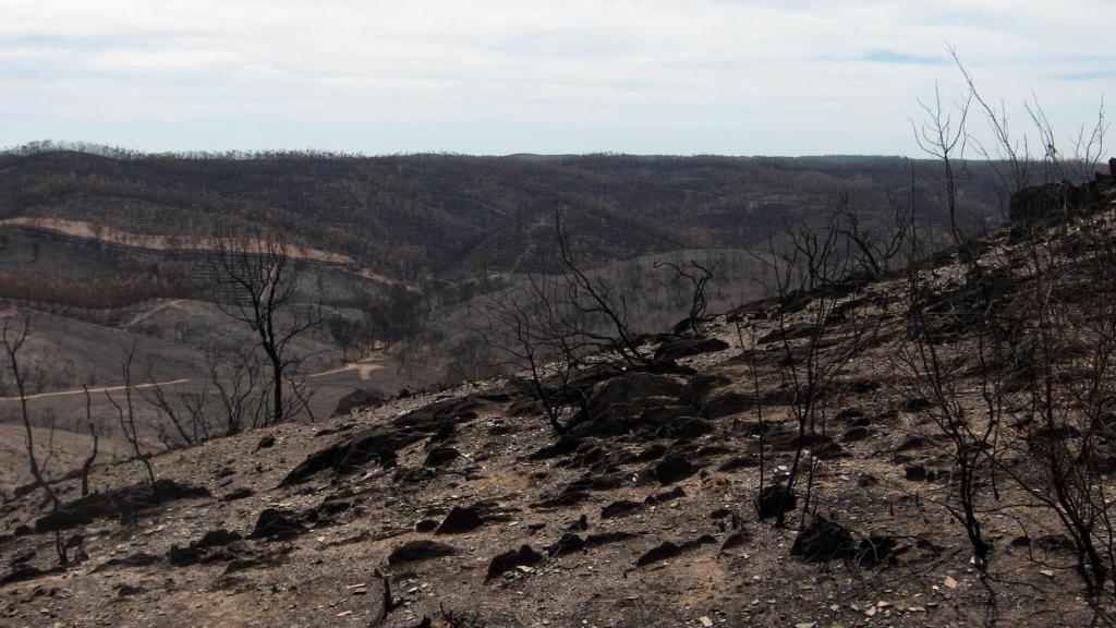 Una tierra devorada por el fuego.